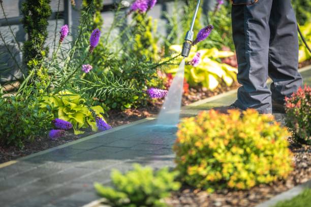 Professional Pressure Washing Services in Brentwood, NY